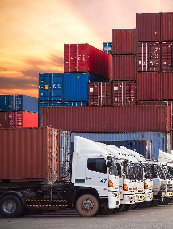 Chhavi Packers and Movers Customer Review - Professional Moving Services